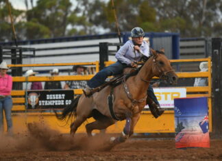 Action aplenty at the rodeo