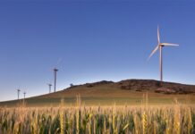 Palmer wind farm starts