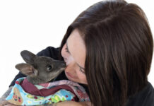 Community keyring initiative helps wildlife rescue