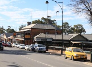 Help develop action plans