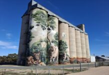 Council forms new committee