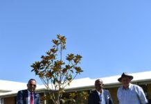 Lerwin marks fresh era