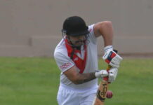 Cricket finals have arrived