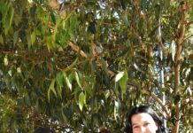 Flying Start arrives