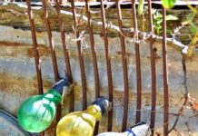 ‘In the backyard’