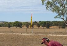 Paech posts double ton