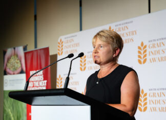 Starick wins grain award