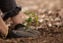 Plan Murraylands drought support
