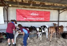 Grants for local initiatives