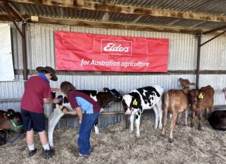 Grants for local initiatives