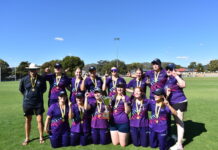 Falcons win grand final