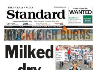 Standard news in 2013