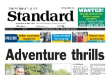 Standard headlines in 2015