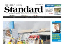 Looking back at 2015