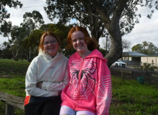 Playground push in Tailem