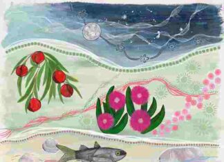 Ngarrindjeri health pilot