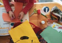 Discover what’s on in the Murraylands