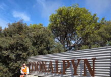 Steps for butterfly skin