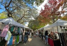 ‘Bridge markets rescheduled