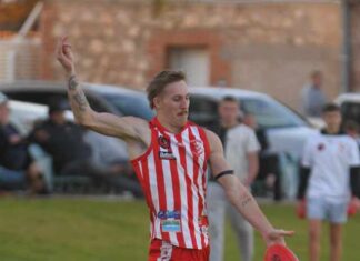 Roosters shape up for 2026