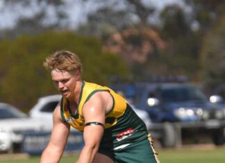 Roos to pounce in 2026