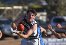 Back-to-back Cats return