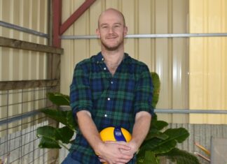 Volleyball interest spikes